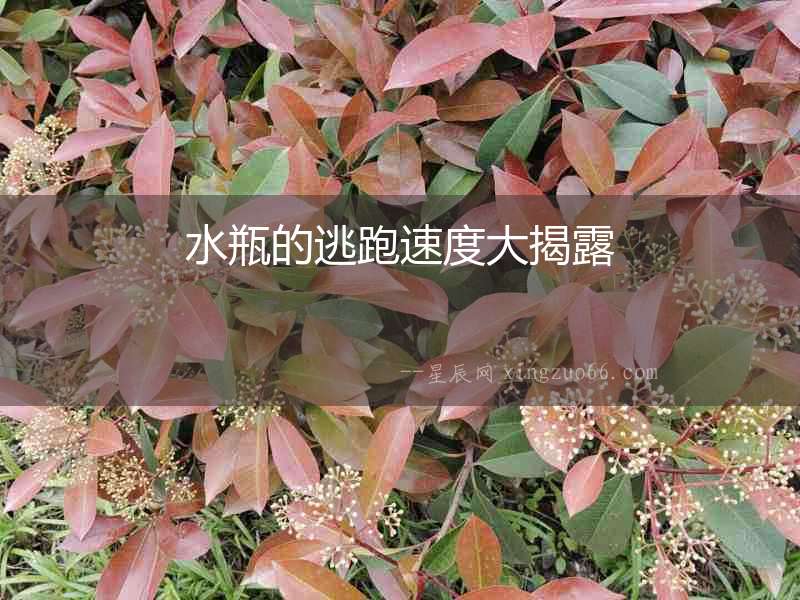水瓶的逃跑速度大揭露