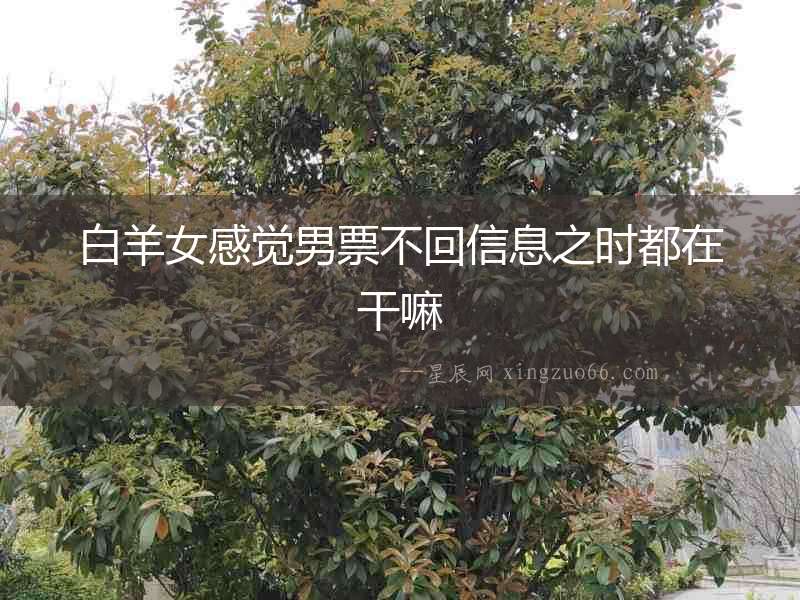 白羊女感覺男票不回信息之時都在干嘛