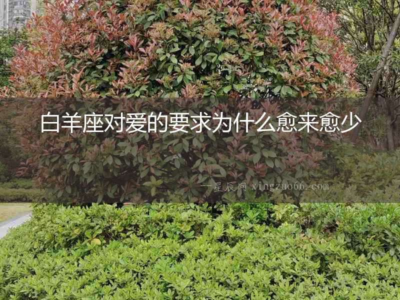白羊座對愛的要求為什么愈來愈少