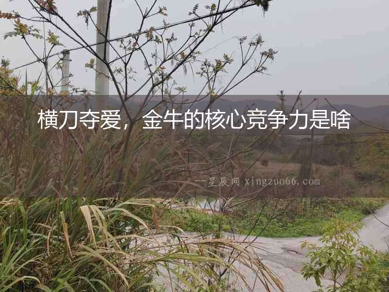 橫刀奪愛，金牛的核心競爭力是啥