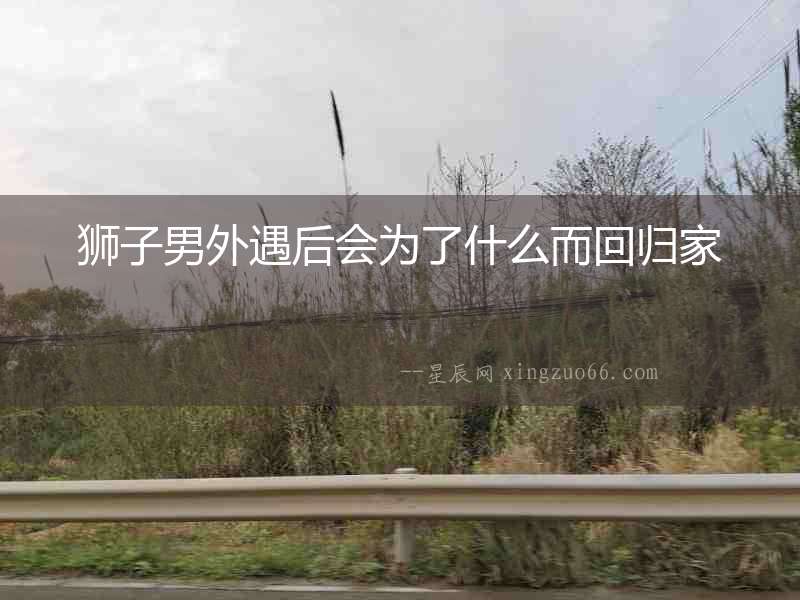 獅子男外遇后會為了什么而回歸家