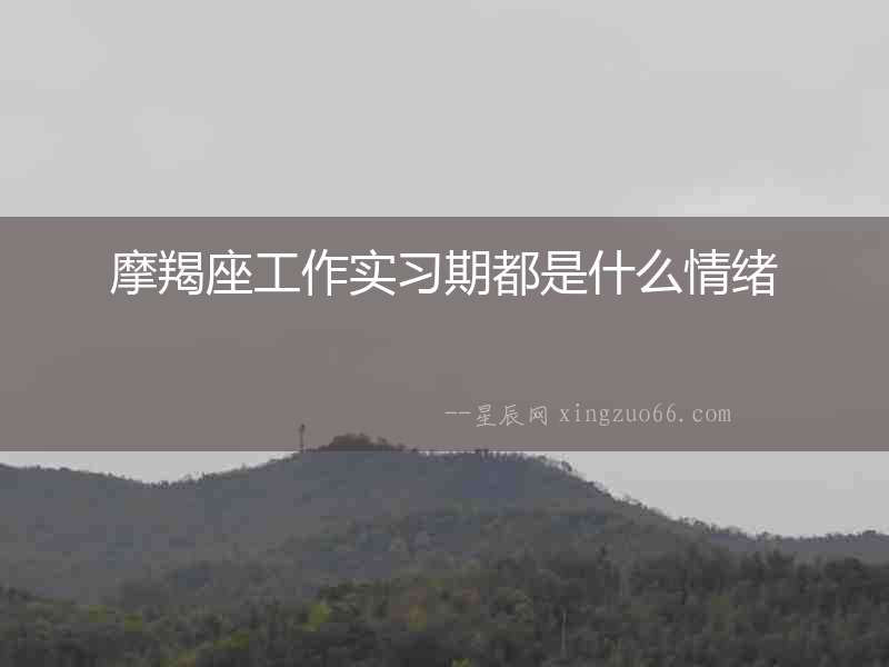 摩羯座工作實習期都是什么情緒