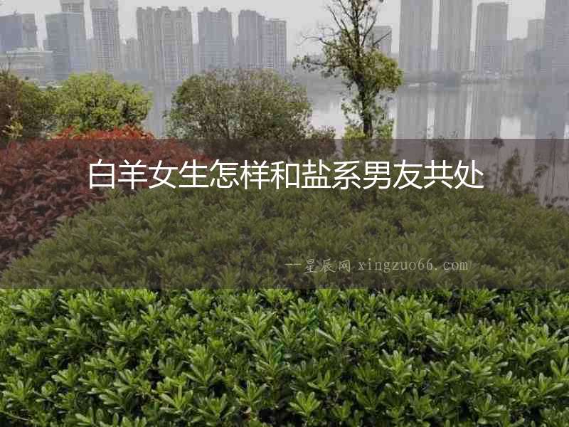 白羊女生怎樣和鹽系男友共處