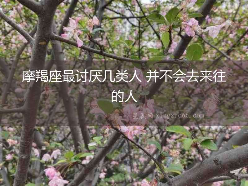 摩羯座最討厭幾類人 并不會去來往的人