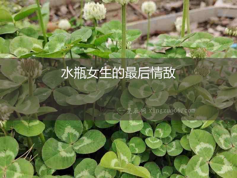 水瓶女生的最后情敵
