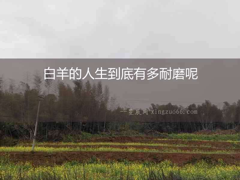 白羊的人生到底有多耐磨呢
