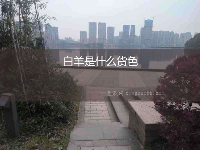 白羊是什么貨色
