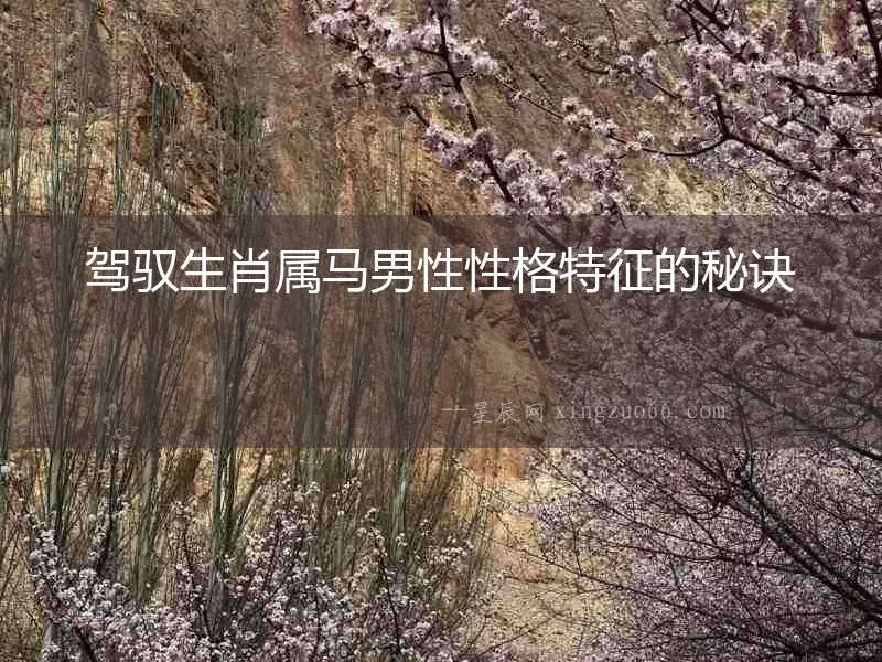 駕馭生肖屬馬男性性格特征的秘訣