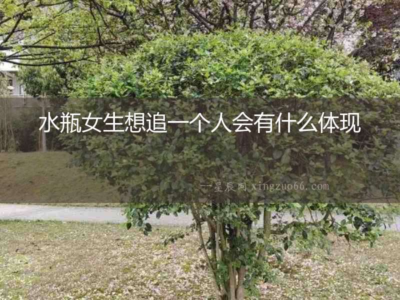 水瓶女生想追一個人會有什么體現