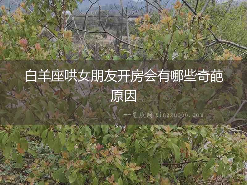 白羊座哄女朋友開房會有哪些奇葩原因