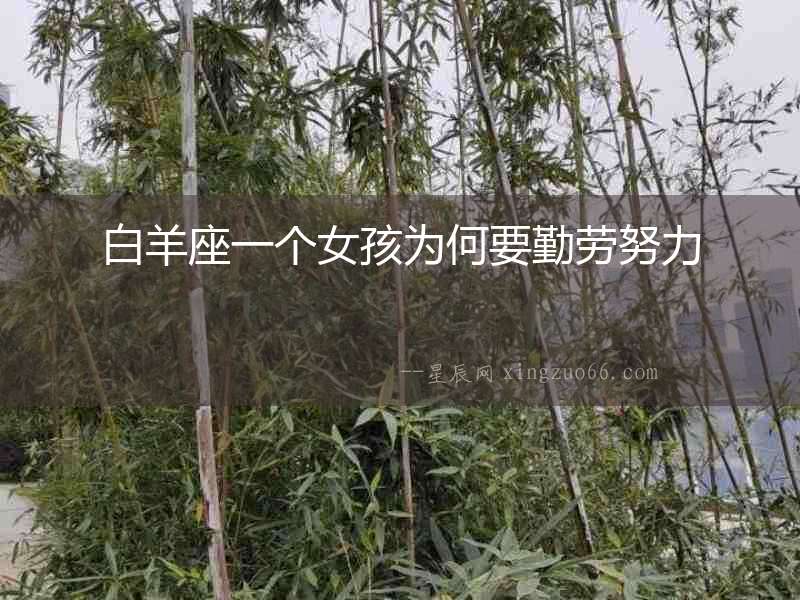 白羊座一個女孩為何要勤勞努力