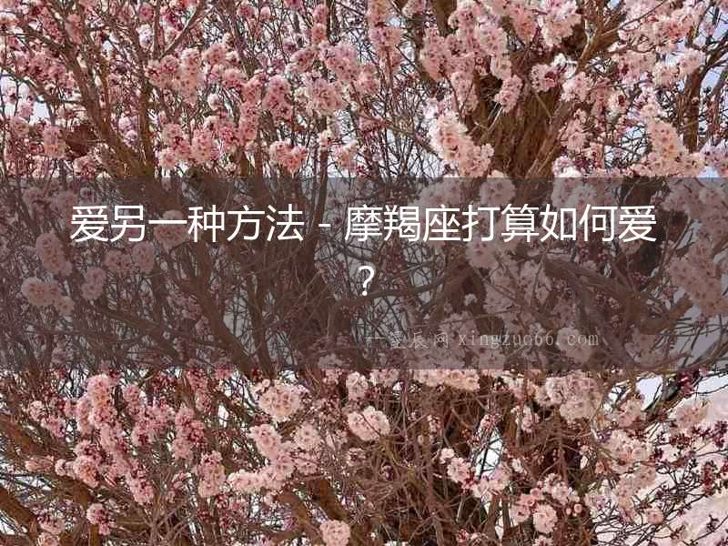 愛另一種方法－摩羯座打算如何愛？