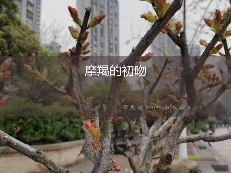 摩羯的初吻