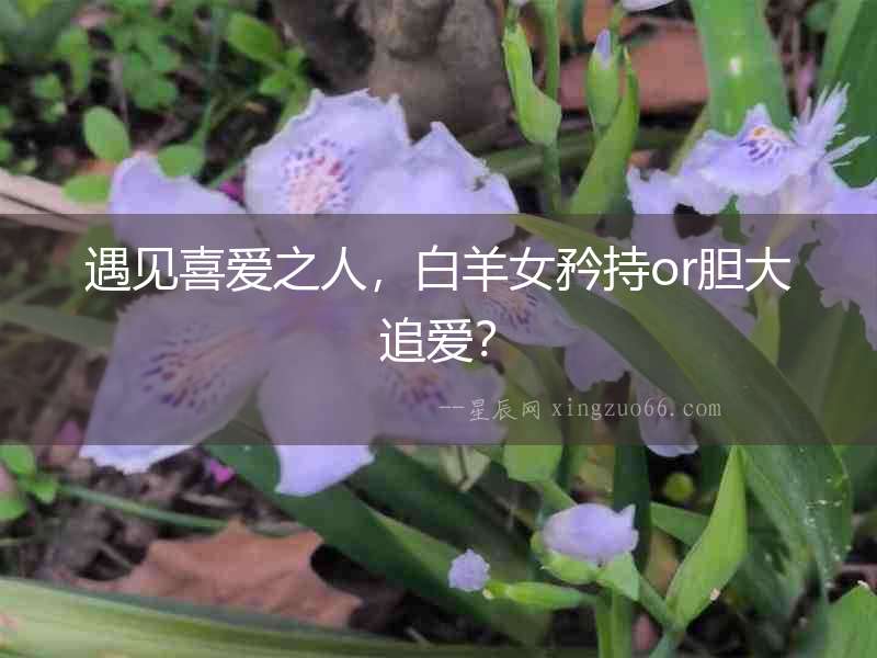 遇見喜愛之人，白羊女矜持or膽大追愛？