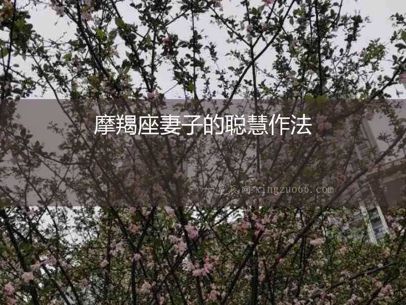 摩羯座妻子的聰慧作法