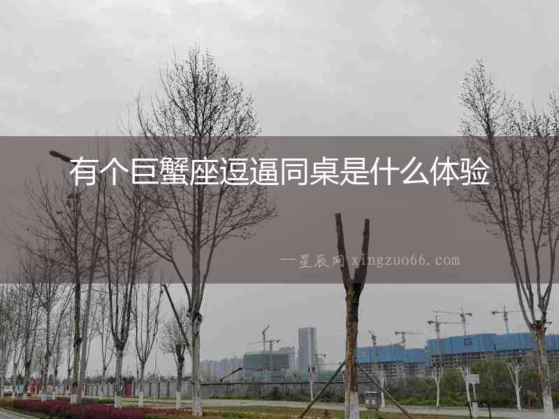 有個巨蟹座逗逼同桌是什么體驗