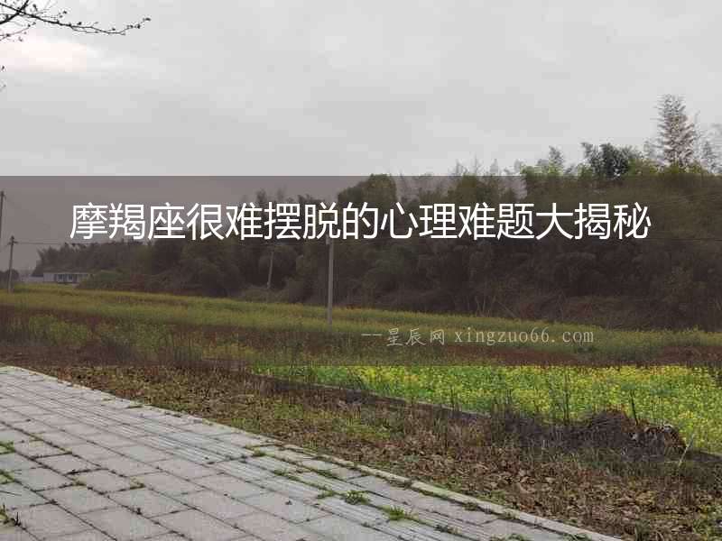 摩羯座很難擺脫的心理難題大揭秘