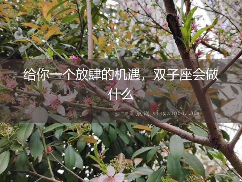 給你一個放肆的機遇，雙子座會做什么