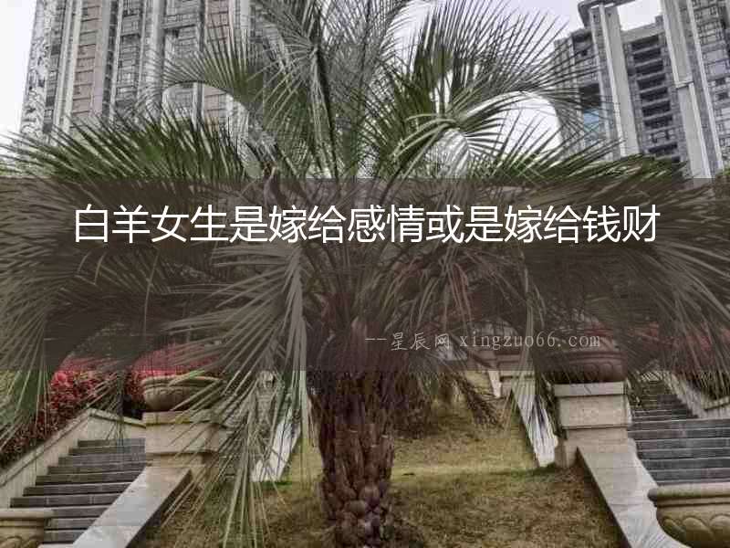 白羊女生是嫁給感情或是嫁給錢財(cái)