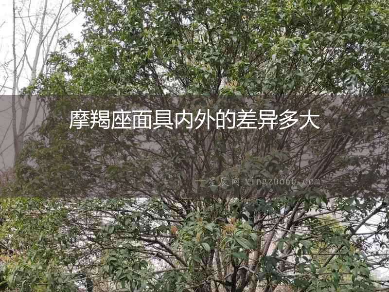 摩羯座面具內外的差異多大