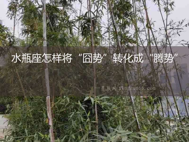 水瓶座怎樣將“囧勢(shì)”轉(zhuǎn)化成“騰勢(shì)”