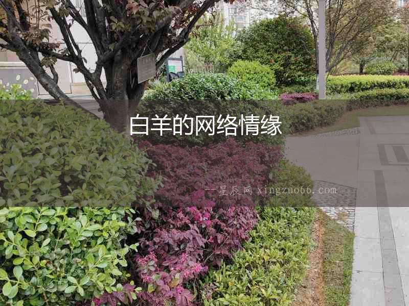 白羊的網絡情緣