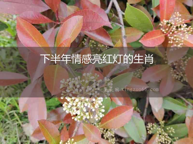 下半年情感亮紅燈的生肖