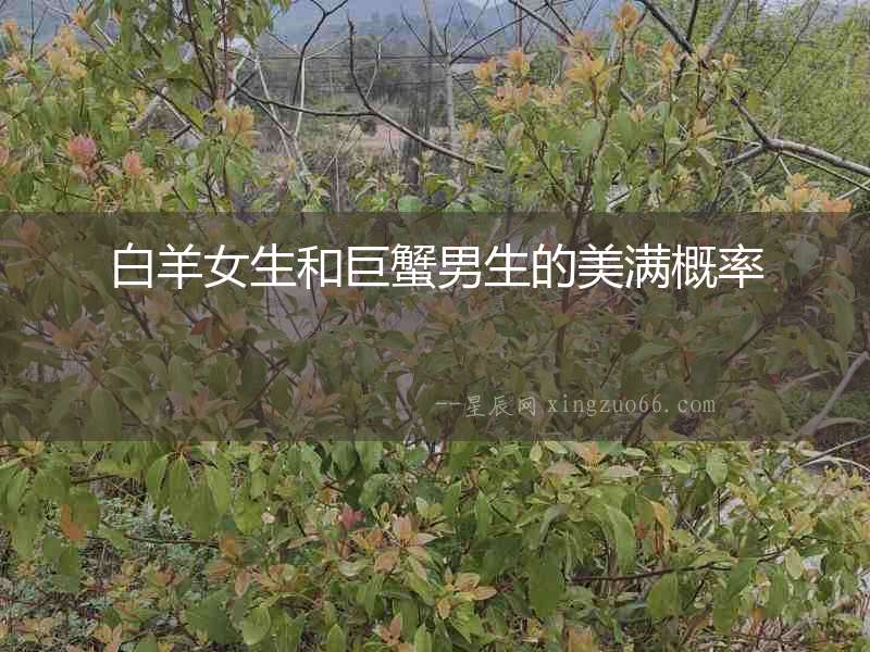 白羊女生和巨蟹男生的美滿概率