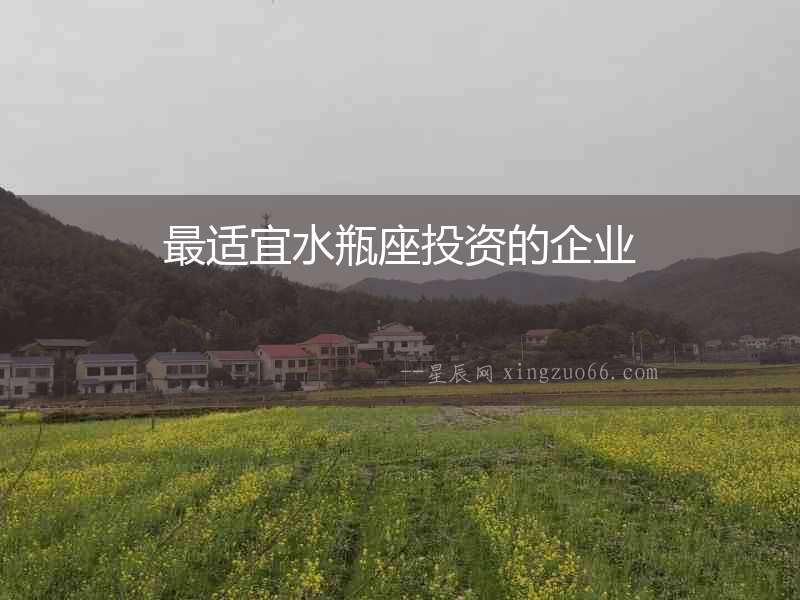最適宜水瓶座投資的企業(yè)
