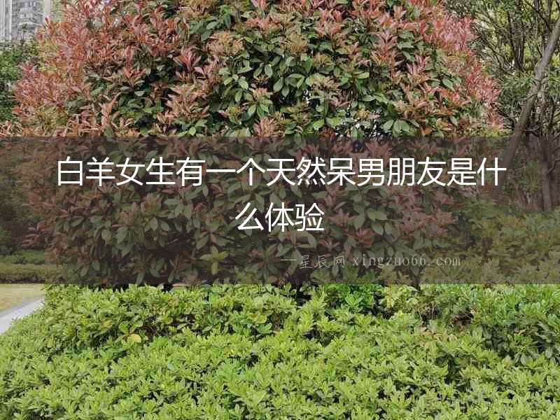 白羊女生有一個天然呆男朋友是什么體驗