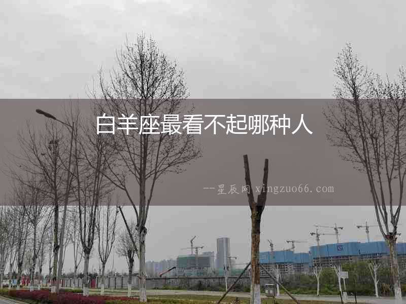 白羊座最看不起哪種人