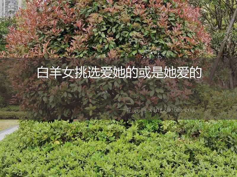 白羊女挑選愛她的或是她愛的