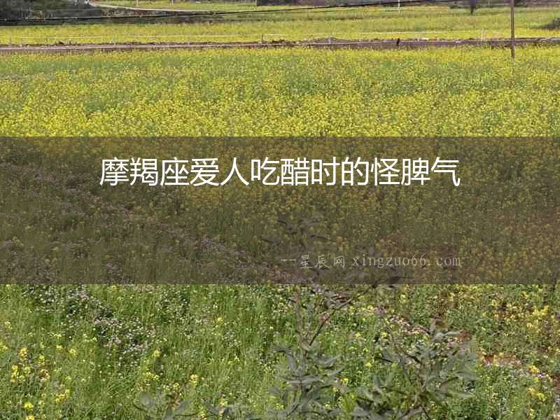 摩羯座愛人吃醋時的怪脾氣