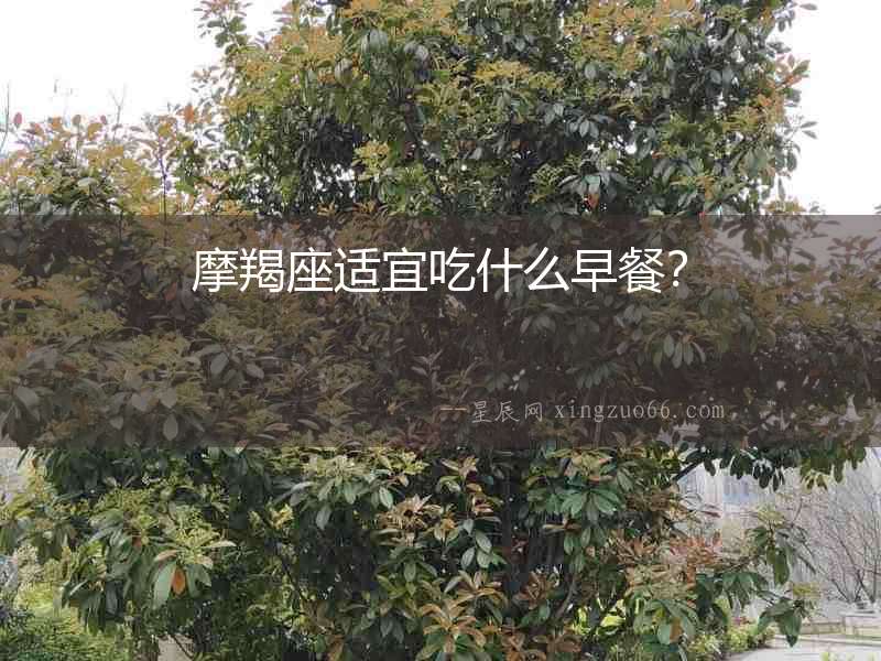 摩羯座適宜吃什么早餐？