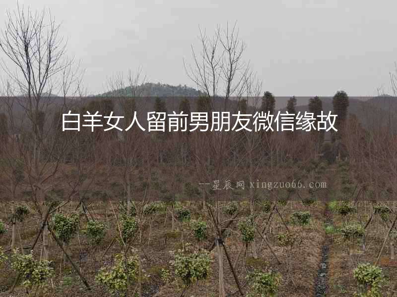 白羊女人留前男朋友微信緣故