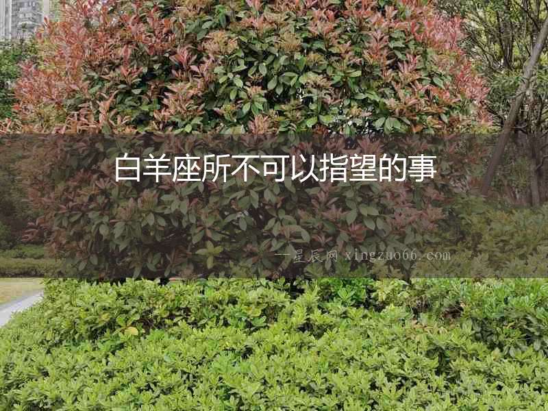 白羊座所不可以指望的事