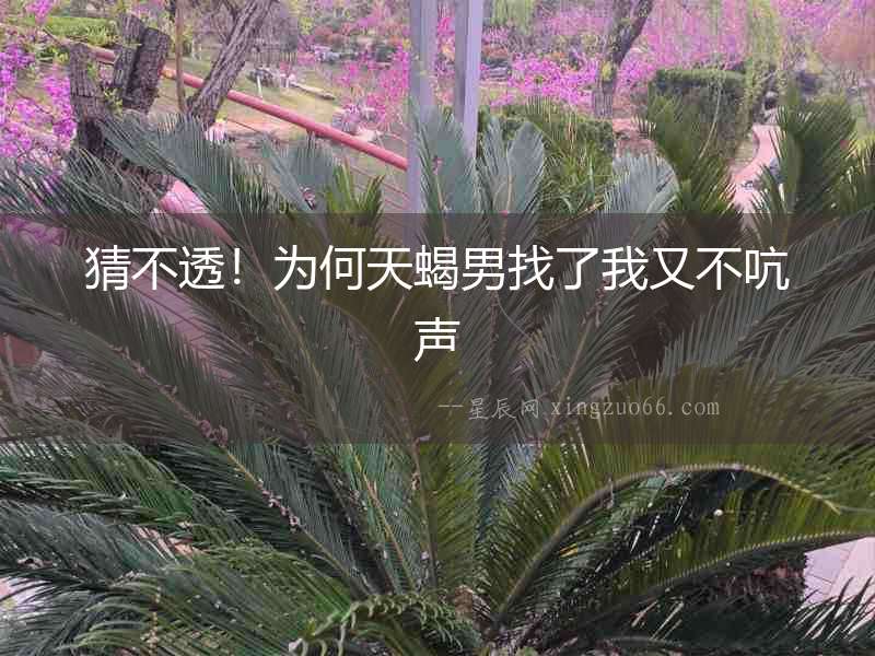 猜不透！為何天蝎男找了我又不吭聲