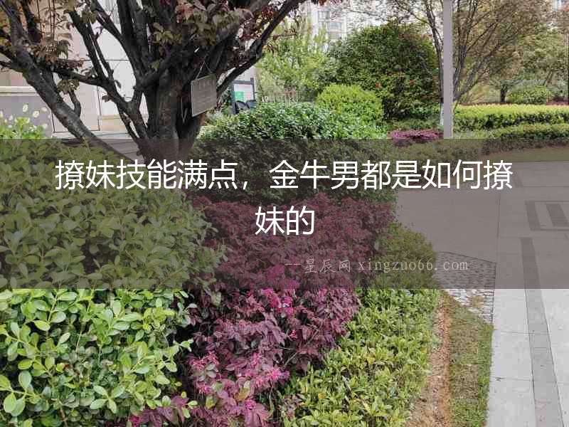 撩妹技能滿點(diǎn)，金牛男都是如何撩妹的