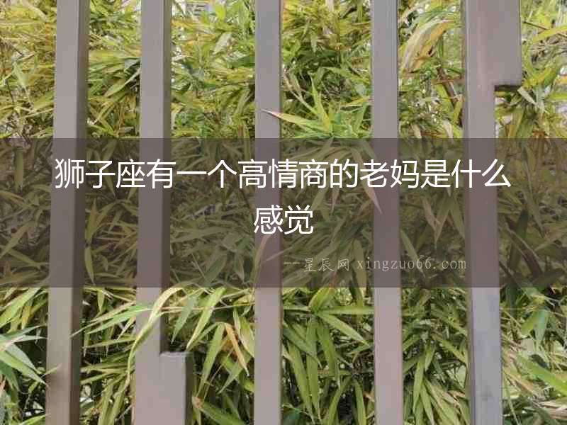 獅子座有一個高情商的老媽是什么感覺