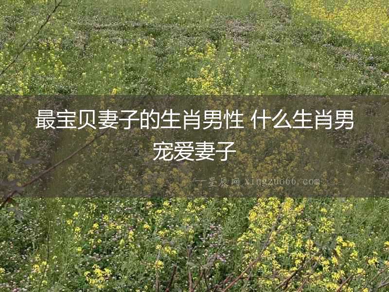 最寶貝妻子的生肖男性 什么生肖男寵愛妻子