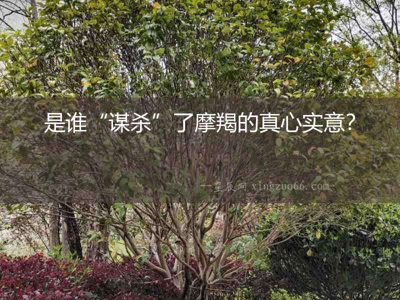 是誰“謀殺”了摩羯的真心實意？