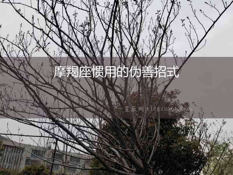 摩羯座慣用的偽善招式