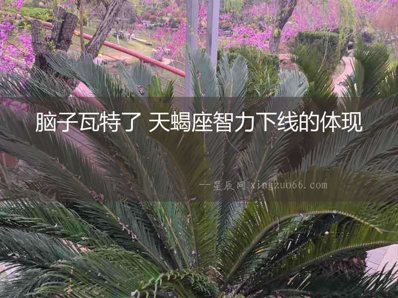 腦子瓦特了 天蝎座智力下線的體現