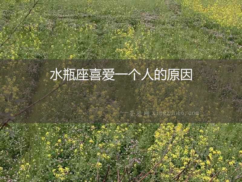水瓶座喜愛一個人的原因