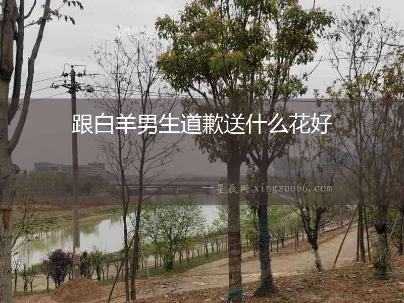 跟白羊男生道歉送什么花好