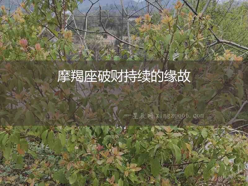 摩羯座破財持續(xù)的緣故