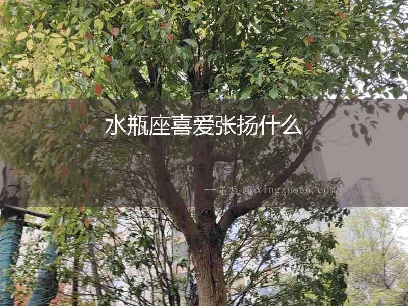 水瓶座喜愛張揚什么
