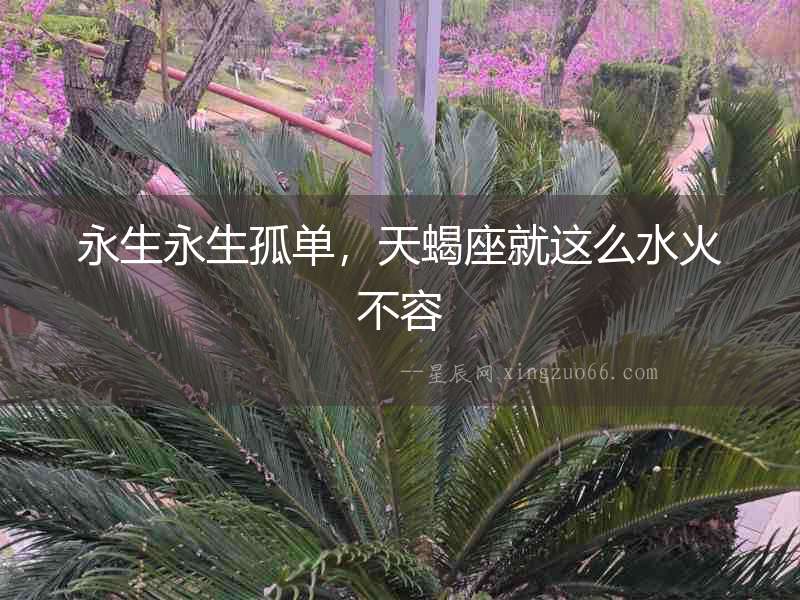 永生永生孤單，天蝎座就這么水火不容