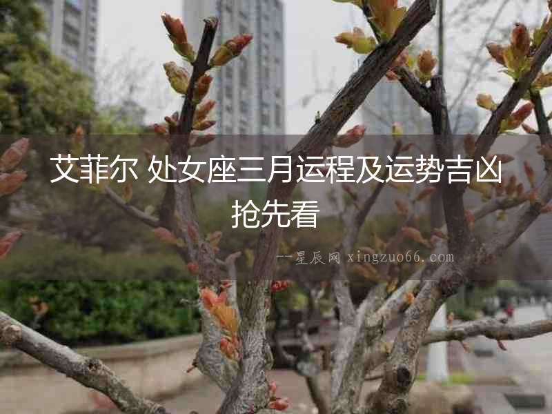艾菲爾 處女座三月運(yùn)程及運(yùn)勢吉兇搶先看