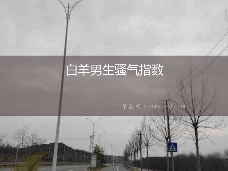 白羊男生騷氣指數(shù)